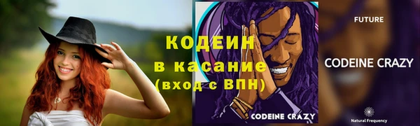 мдпв Краснослободск