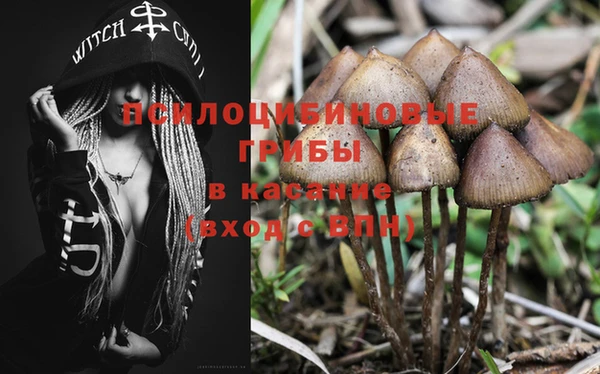 PSILOCYBIN Корсаков