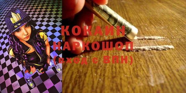 мдпв Краснослободск