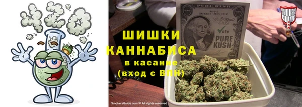 PSILOCYBIN Корсаков