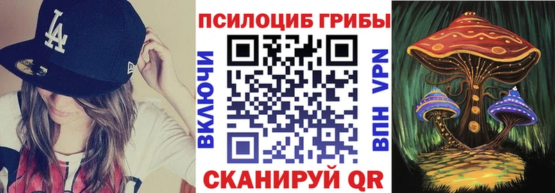 Псилоцибиновые грибы GOLDEN TEACHER  Купить закладки  Дзержинск 